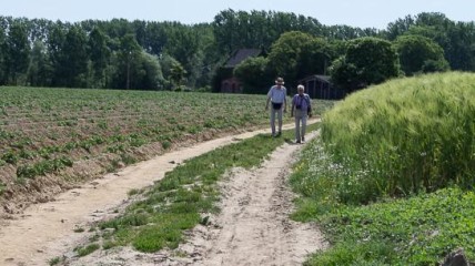 Familiewandeling met gids